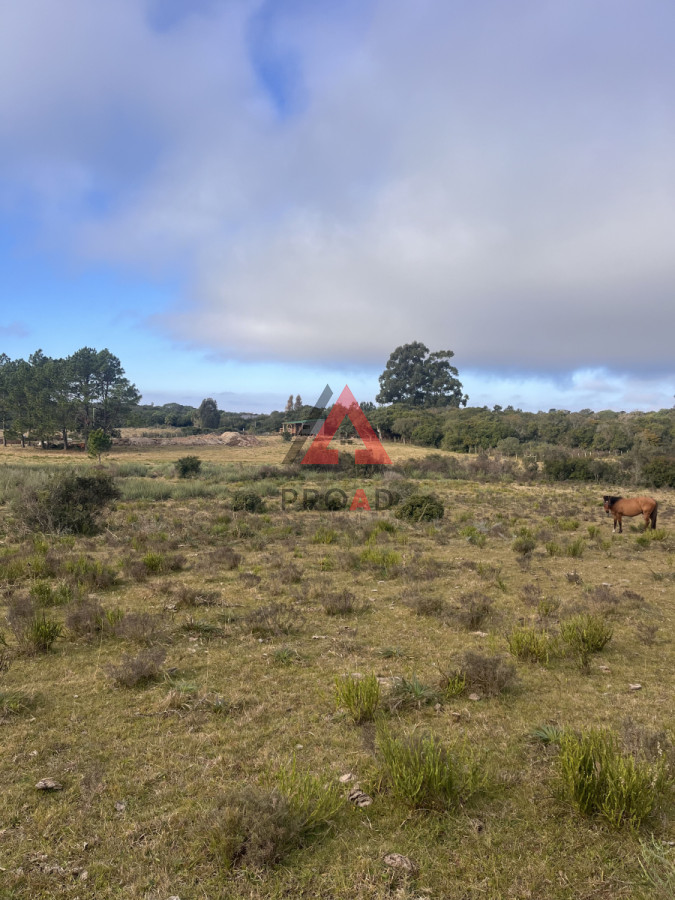 Terreno ID.39 - Chacra en el Pejerrey FRENTE A LA LAGUNA 