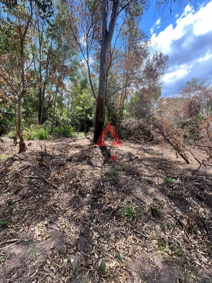 Terreno ID.104 - Terreno Sauce de Portezuelo