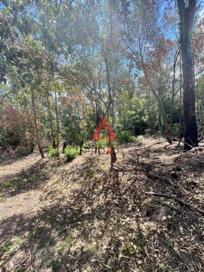 Terreno ID.104 - Terreno Sauce de Portezuelo