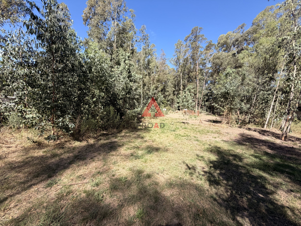 Terreno ID.105 - terreno en venta en sauce de portezuelo 600m2 