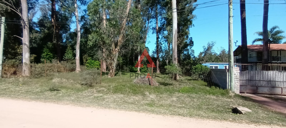 Terreno ID.191 - Terreno en venta en Ocean Park