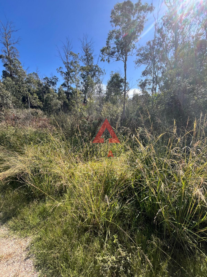 Terreno ID.5 - Terreno 1000 metros
