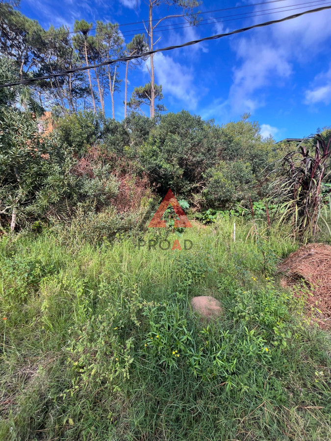 Terreno ID.9 - Terreno a pasitos del Mar