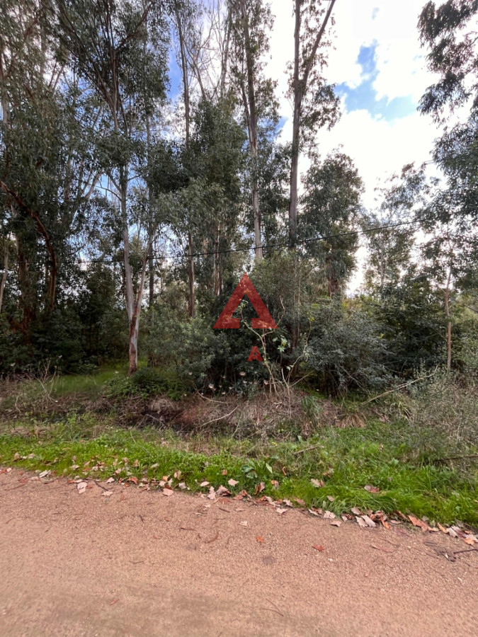 Terreno ID.14 - Amplio terreno