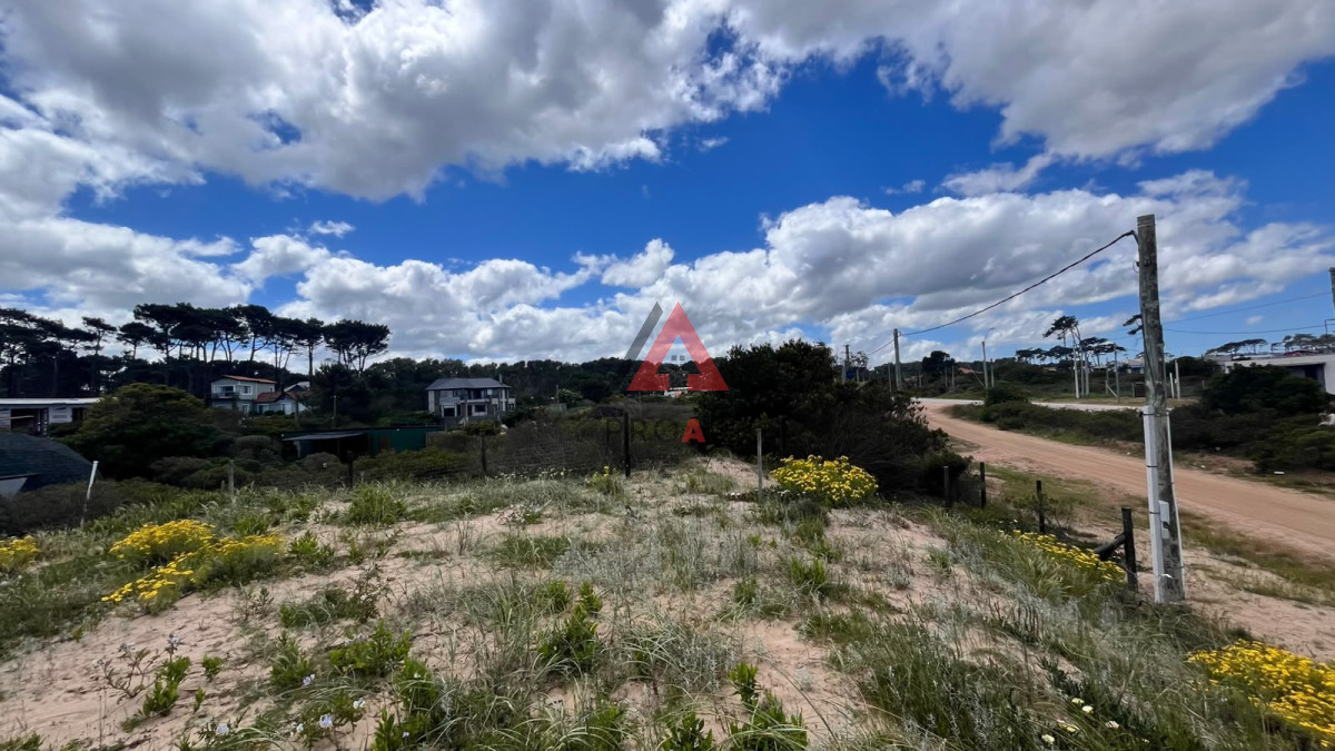 Terreno ID.189 - Terreno amplio cerca del mar en Chihuahua