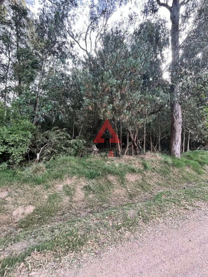 Terreno ID.89 - Terreno en Sauce de Portezuelo