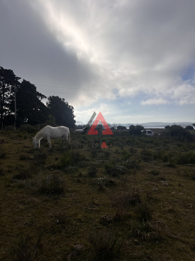 Terreno ID.39 - Chacra en el Pejerrey FRENTE A LA LAGUNA 
