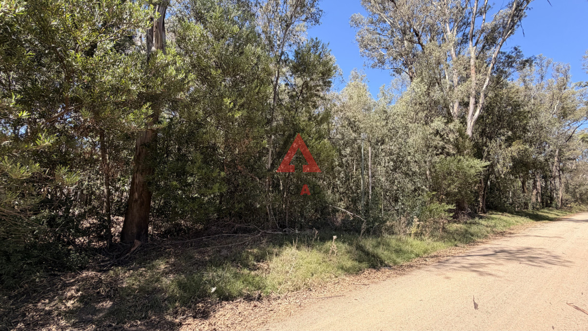 Terreno ID.110 - Dos terrenos en venta en Sauce de portezuelo 