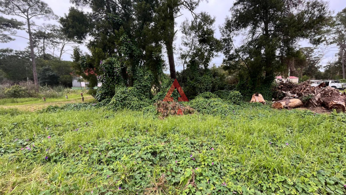 Terreno ID.125 - Terreno en Ocean Park 720 m2