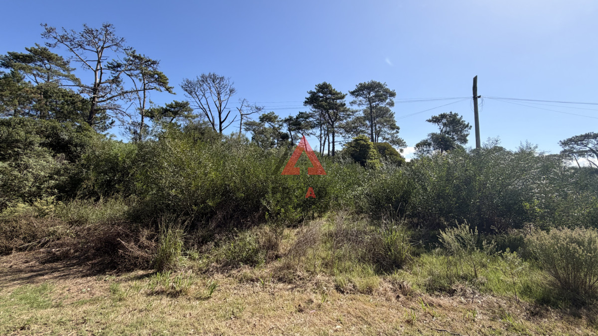 Terreno ID.118 - Terreno en venta en ocean Park 1000m2 en el centro del balneario 