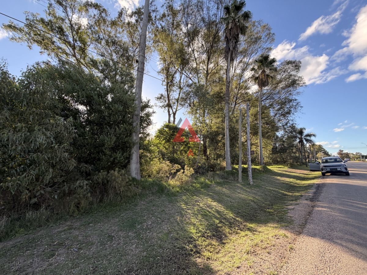 Terreno ID.120 - Terreno en venta en sauce de portezuelo avenida principal y ruta