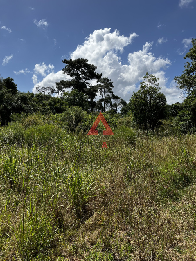 Terreno ID.28 - 3 padrones juntos para inversión y desarrollo de proyecto 