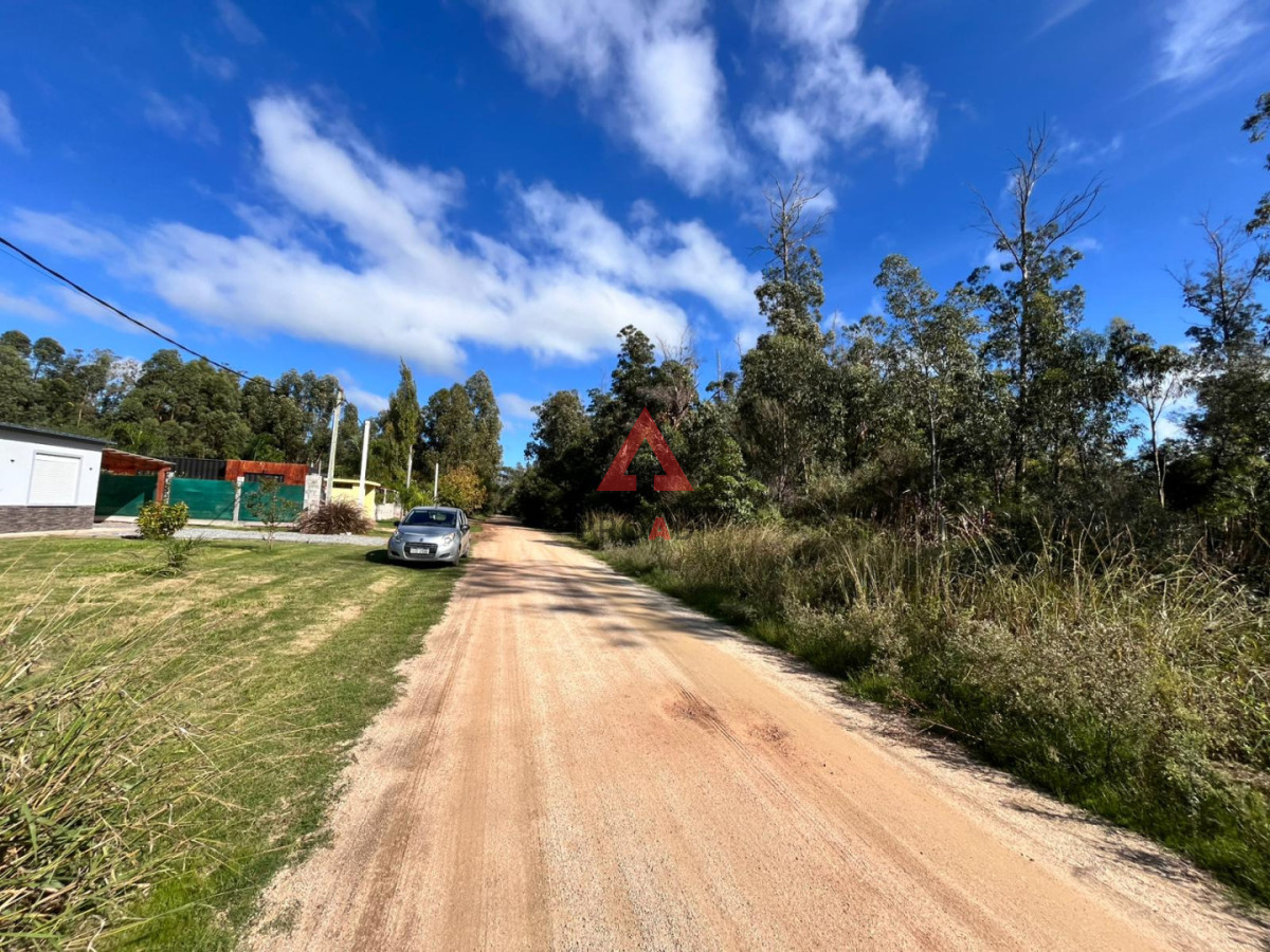 Terreno ID.126 - Terreno 1000 m2 en Ocean Park