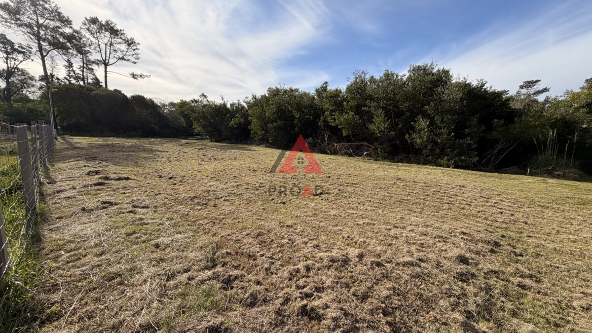 Terreno ID.133 - Terreno en venta en Ocean Park 