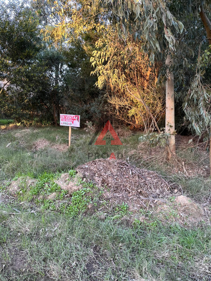 Terreno ID.41 - Amplio terreno a pasos de la ruta