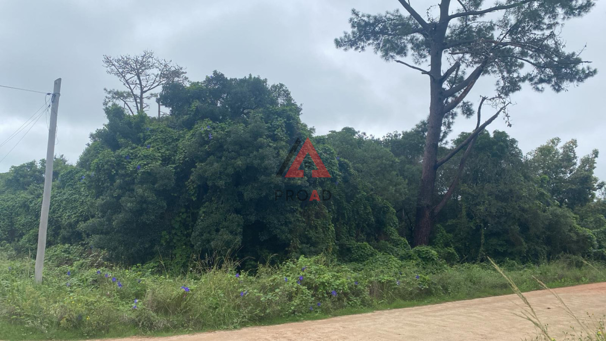 Terreno ID.148 - Terreno esquina en Ocean Park