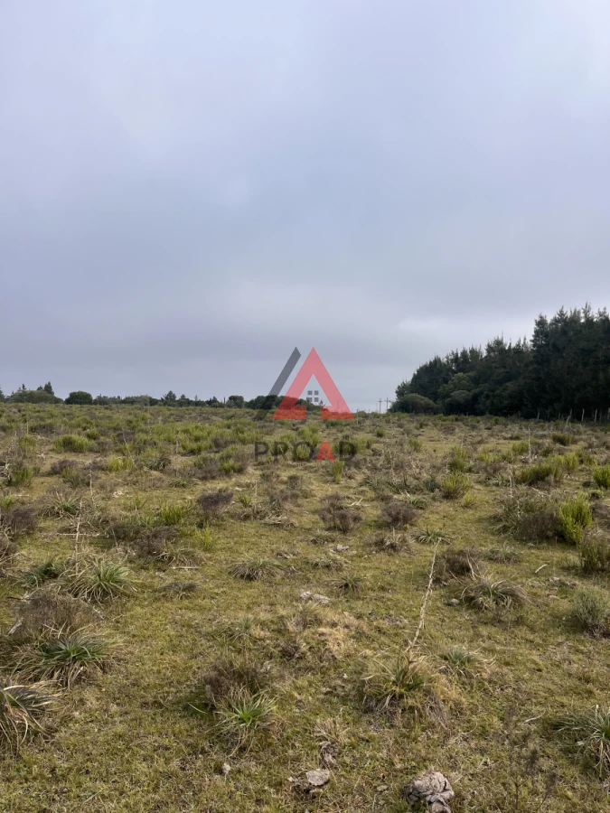 Terreno ID.39 - Chacra en venta en el Pejerrey 