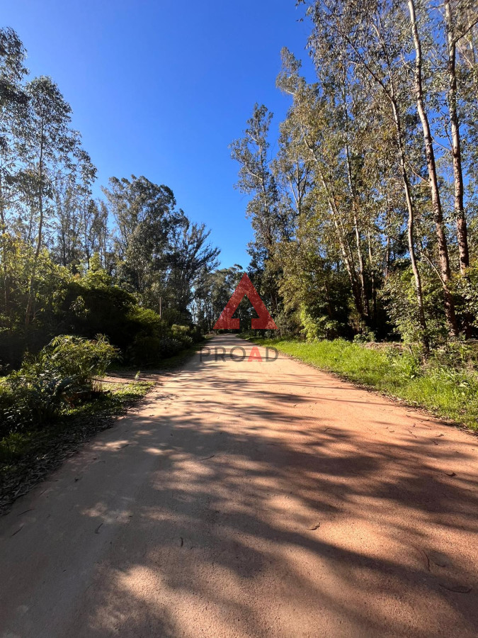 Terreno ID.57 - Amplio terreno en Ocean Park