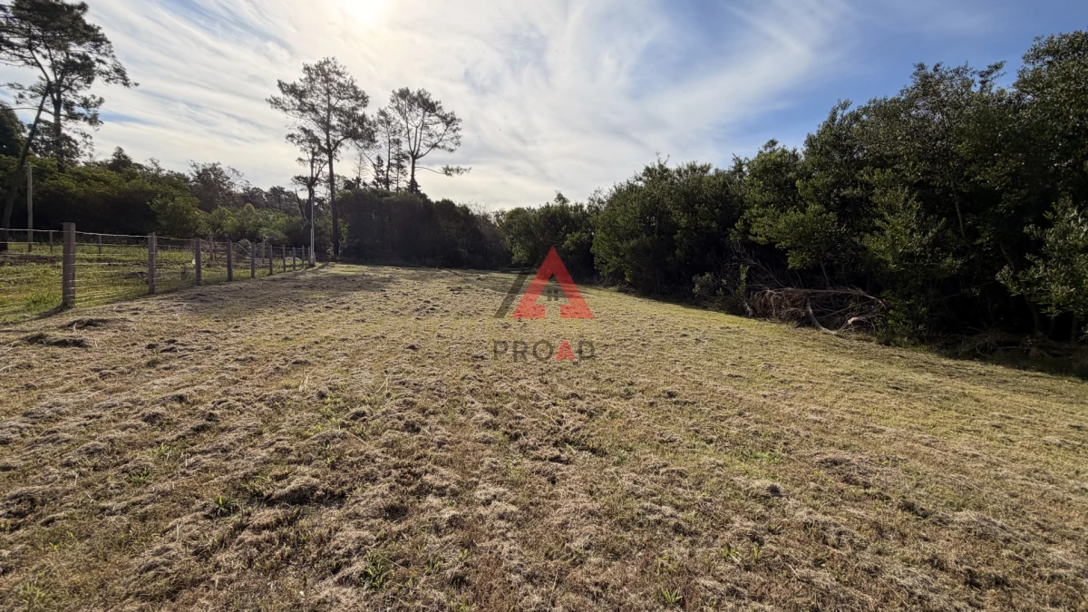 Terreno ID.133 - Terreno en venta en Ocean Park 