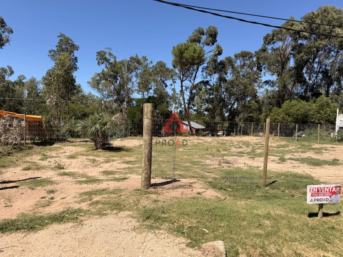 Terreno ID.82 - terreno en venta en ocean park listo para construir