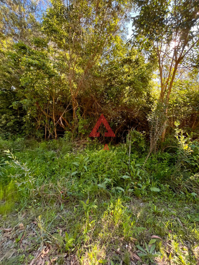 Terreno ID.57 - Amplio terreno en Ocean Park