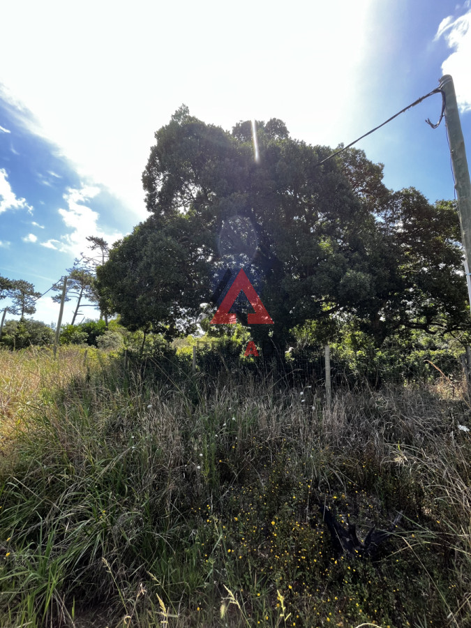 Terreno ID.28 - 3 padrones juntos para inversión y desarrollo de proyecto 