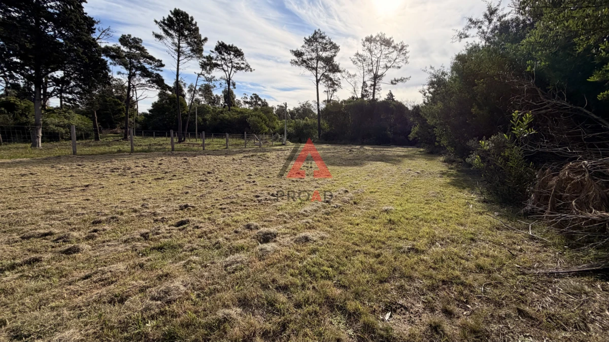 Terreno ID.133 - Terreno en venta en Ocean Park 