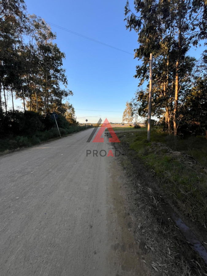 Terreno ID.41 - Amplio terreno a pasos de la ruta