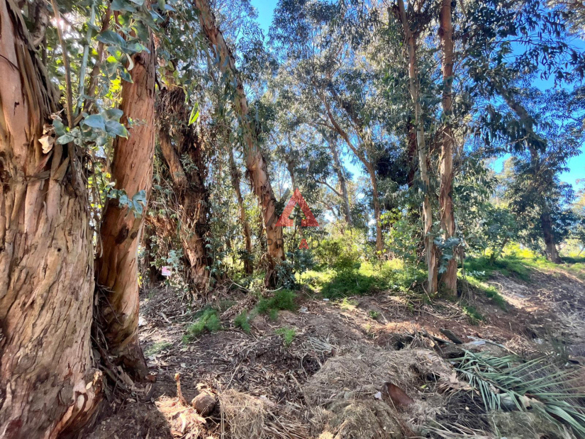 Terreno ID.64 - Esquinero en Ocean Park