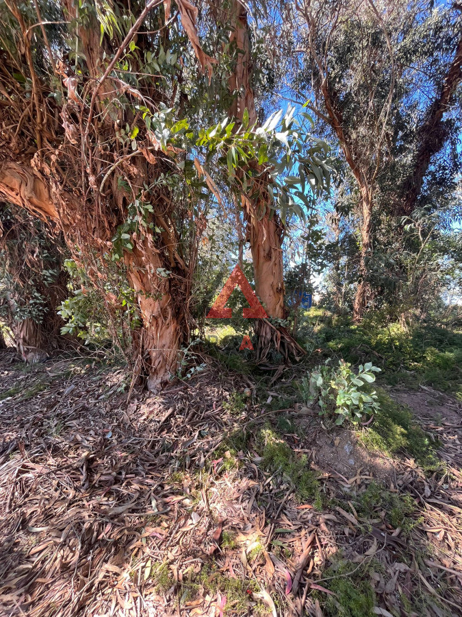 Terreno ID.64 - Esquinero en Ocean Park