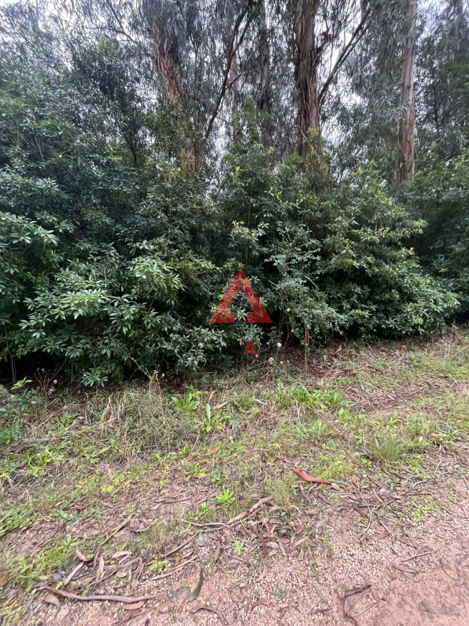 Terreno ID.40 - Amplio Terreno en Ocean Park 