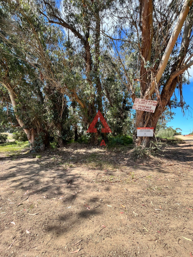 Terreno ID.64 - Esquinero en Ocean Park