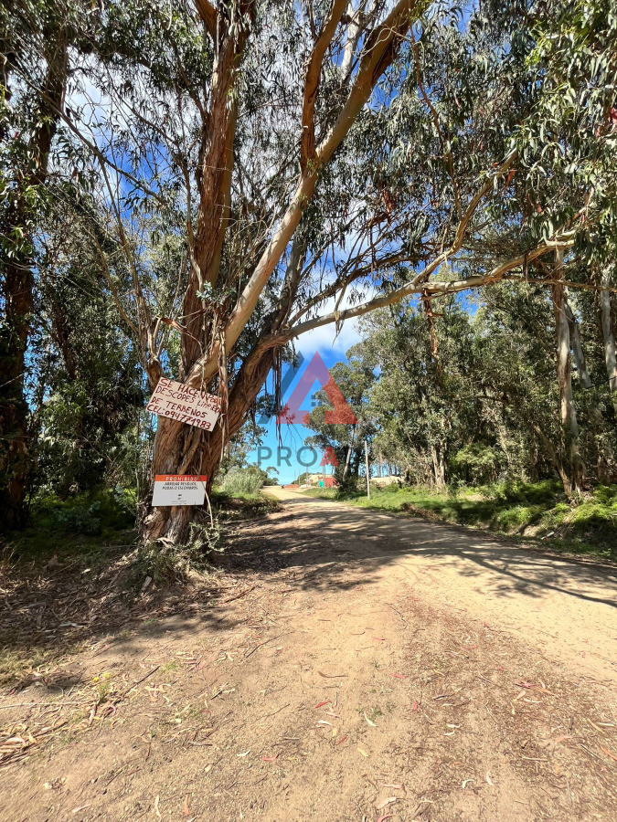 Terreno ID.64 - Esquinero en Ocean Park