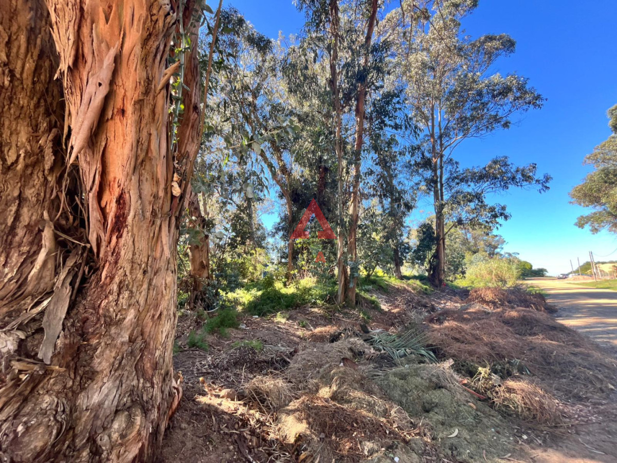 Terreno ID.64 - Esquinero en Ocean Park