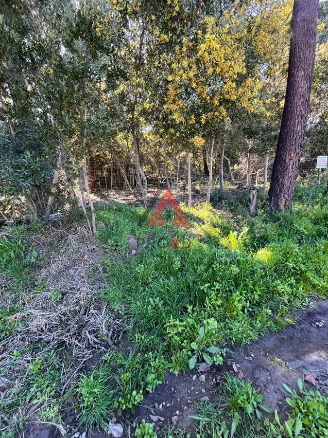 Terreno ID.6 - Terreno en Ocean Park