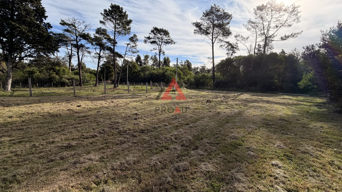 Terreno ID.133 - Terreno en venta en Ocean Park 
