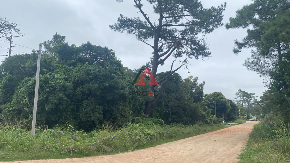 Terreno ID.148 - Terreno esquina en Ocean Park