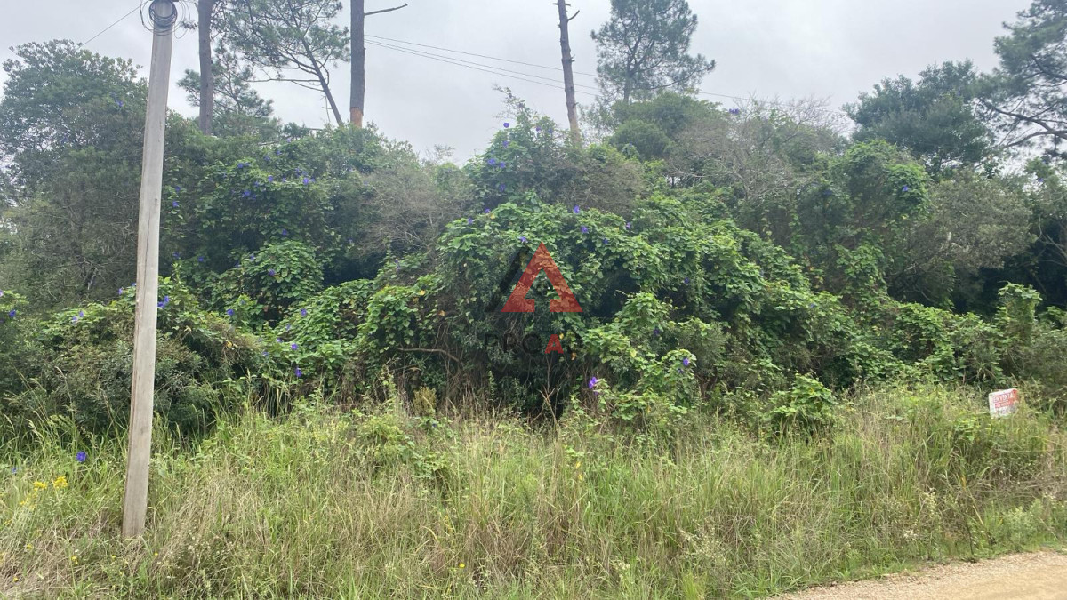 Terreno ID.115 - Terre o en el centro del balneario de 1000mts2