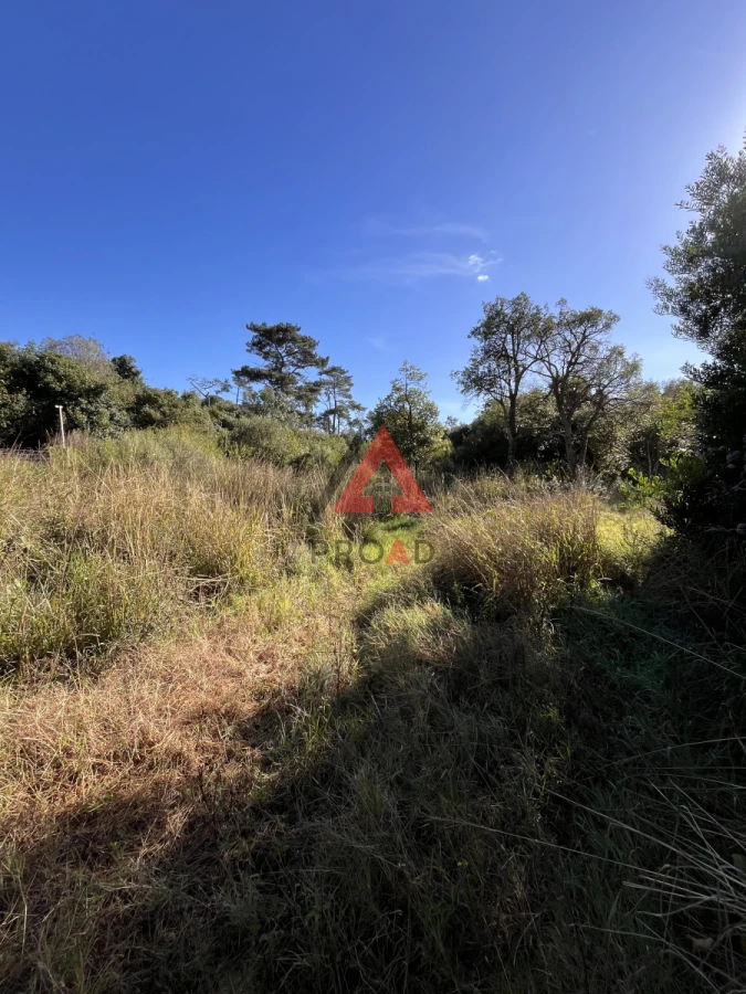 Terreno ID.28 - 3 padrones juntos para inversión y desarrollo de proyecto 