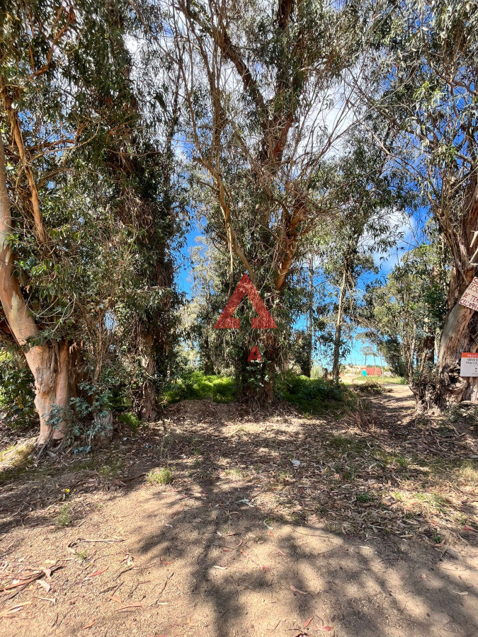 Terreno ID.64 - Esquinero en Ocean Park