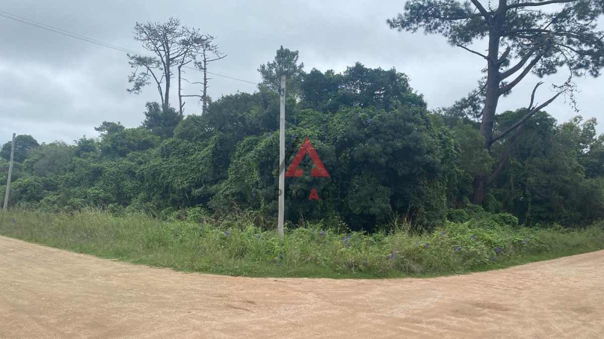 Terreno ID.148 - Terreno esquina en Ocean Park