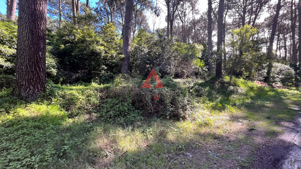 Terreno ID.163 - Terreno Club del Lago 1177 m2