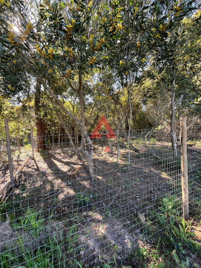 Terreno ID.6 - Terreno en Ocean Park