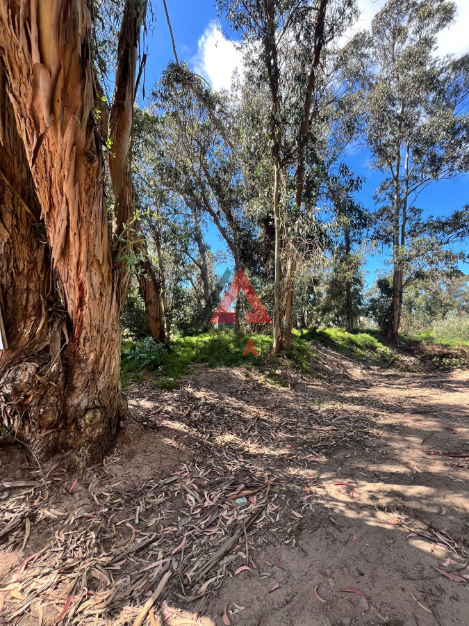 Terreno ID.64 - Esquinero en Ocean Park