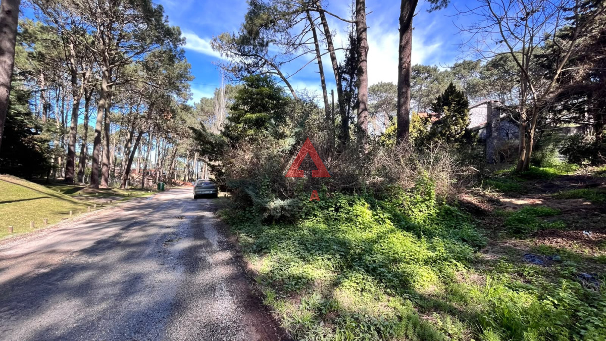 Terreno ID.163 - Terreno Club del Lago 1177 m2