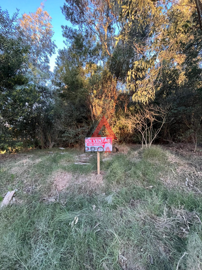 Terreno ID.41 - Amplio terreno a pasos de la ruta