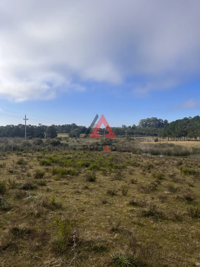 Terreno ID.39 - Chacra en venta en el Pejerrey 