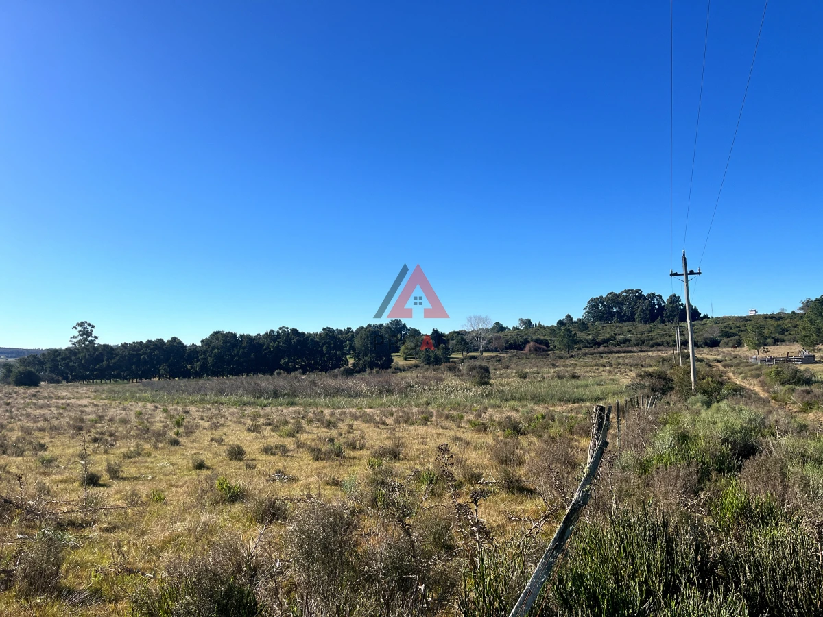 Terreno ID.39 - Chacra en venta en el Pejerrey 
