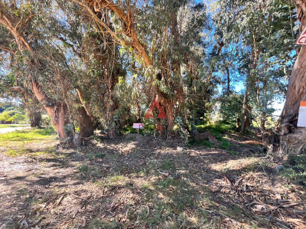 Terreno ID.64 - Esquinero en Ocean Park