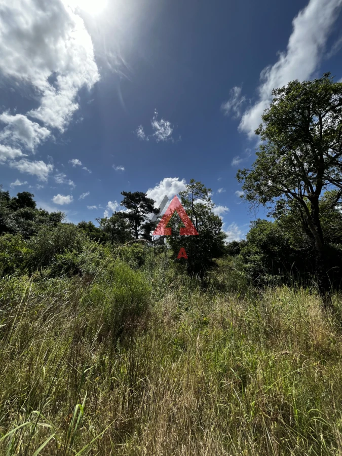 Terreno ID.28 - 3 padrones juntos para inversión y desarrollo de proyecto 
